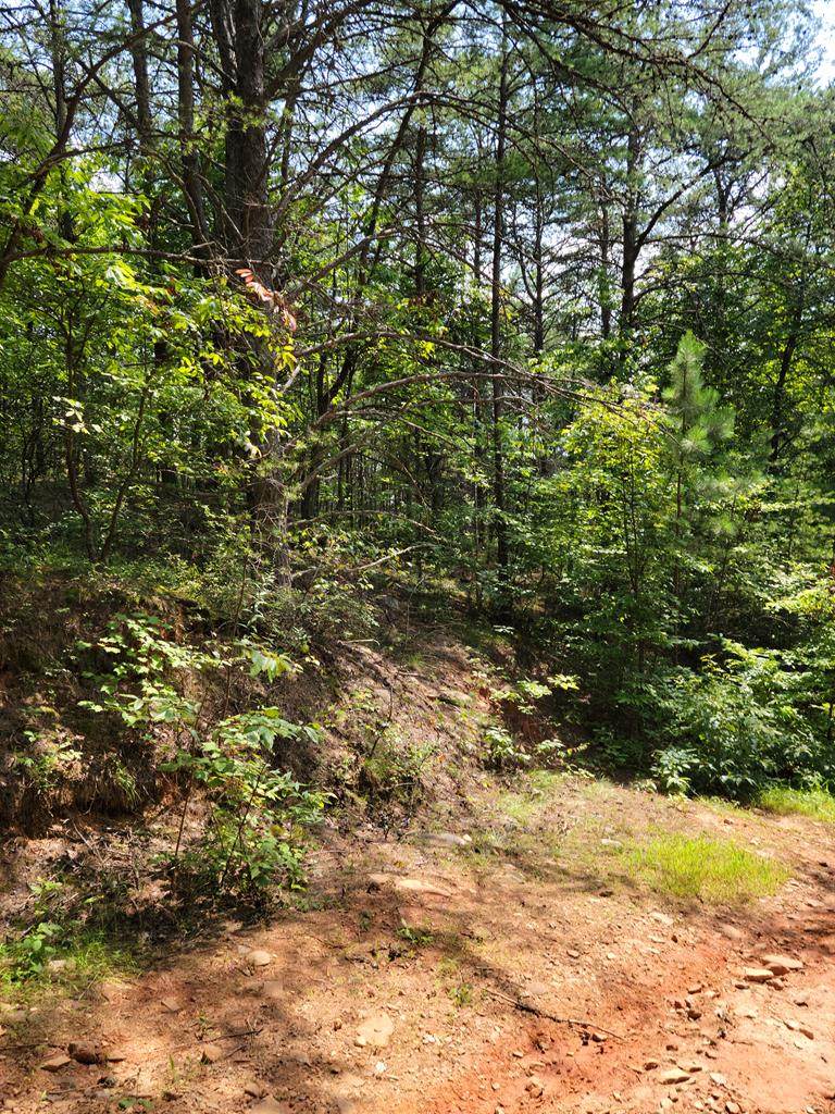 Lot 21 Belaire Drive - Photo 1