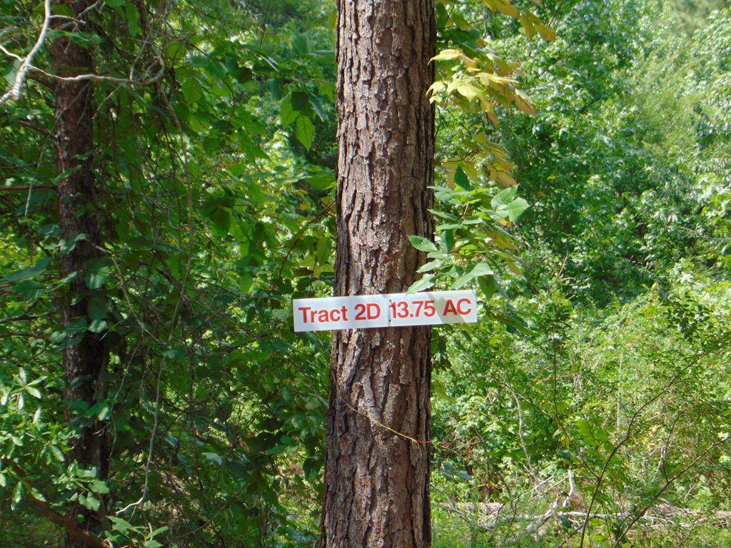 Tract 2D Charles Road - Photo 1