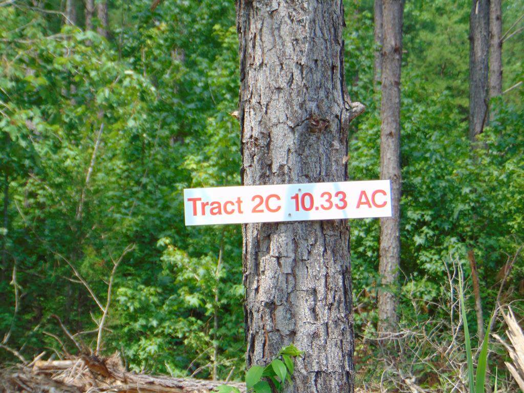 Tract 2C Charles Road - Photo 1