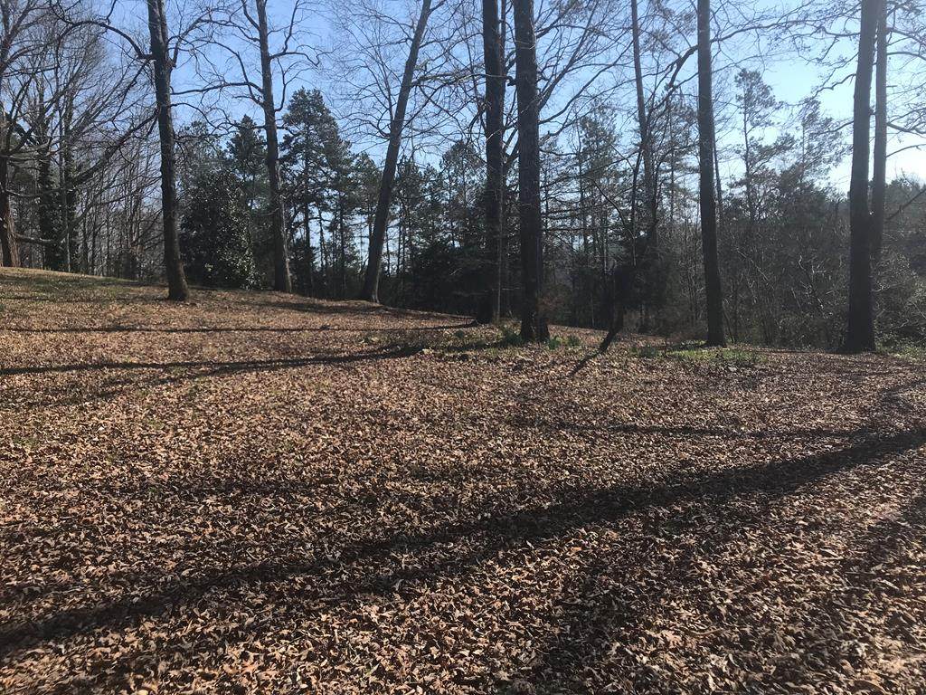 00 Old Lower River Road Nw - Photo 1
