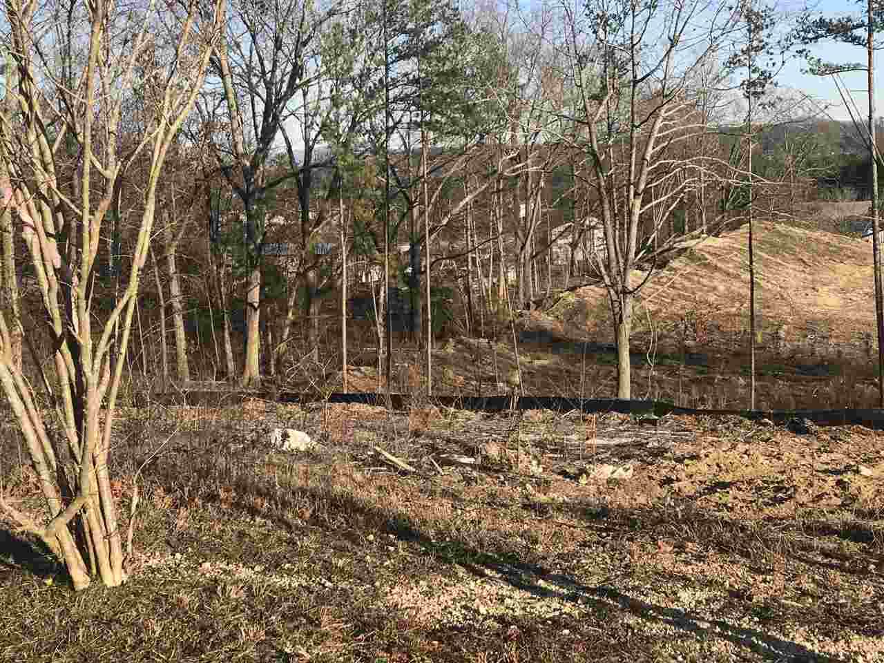 Lot 19 Unity Drive Ne - Photo 1