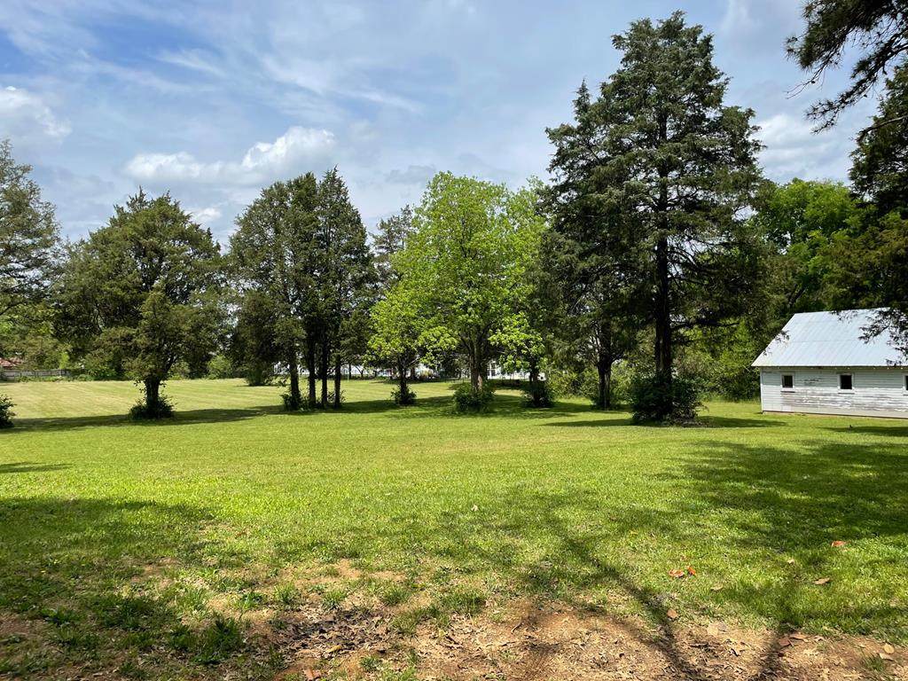 Lot 3 North Ocoee Street - Photo 1