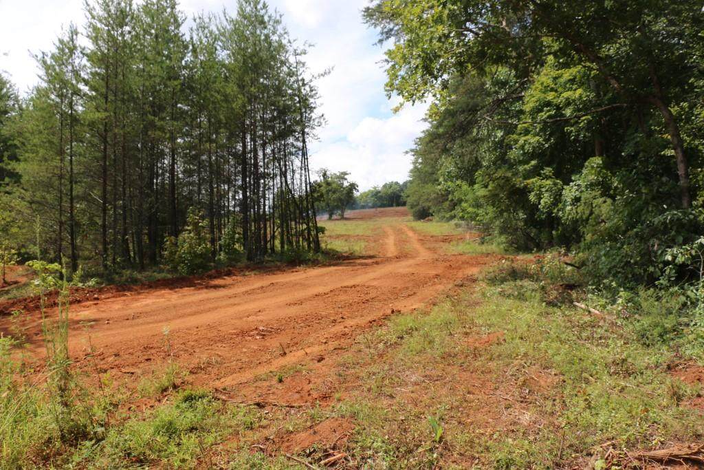 10 Acres County Road 280 - Photo 1