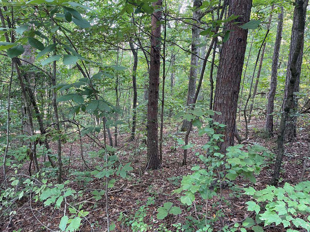 Lot 23 Dogwood Circle - Photo 1