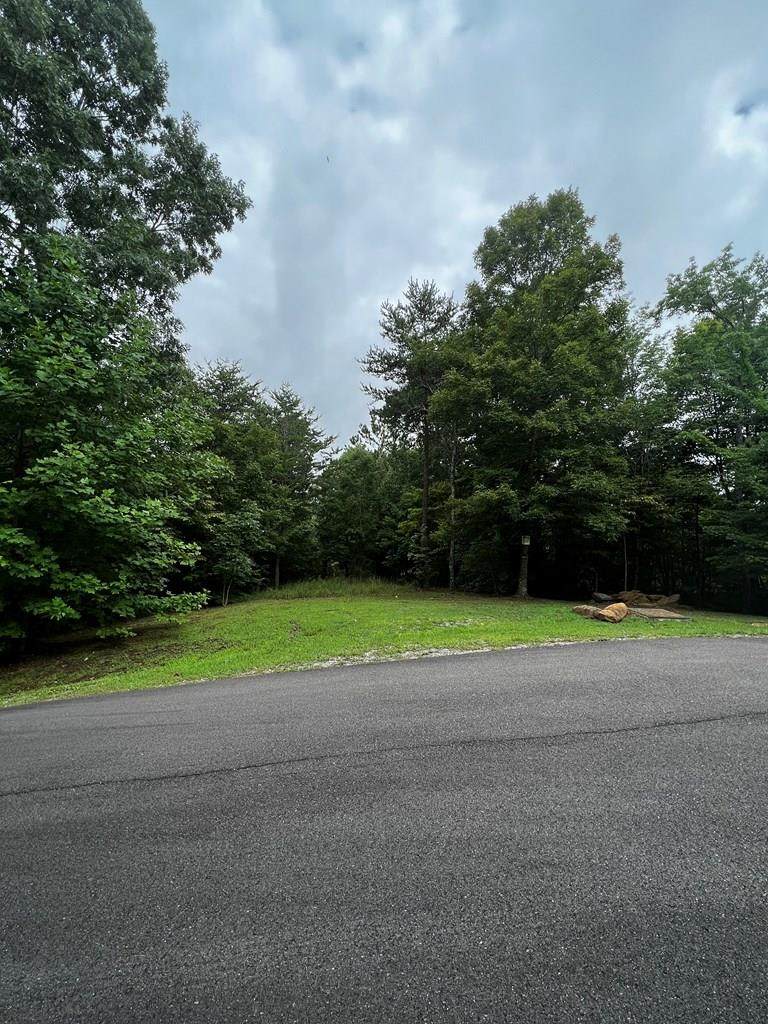 125 Fox Trail Drive - Photo 1