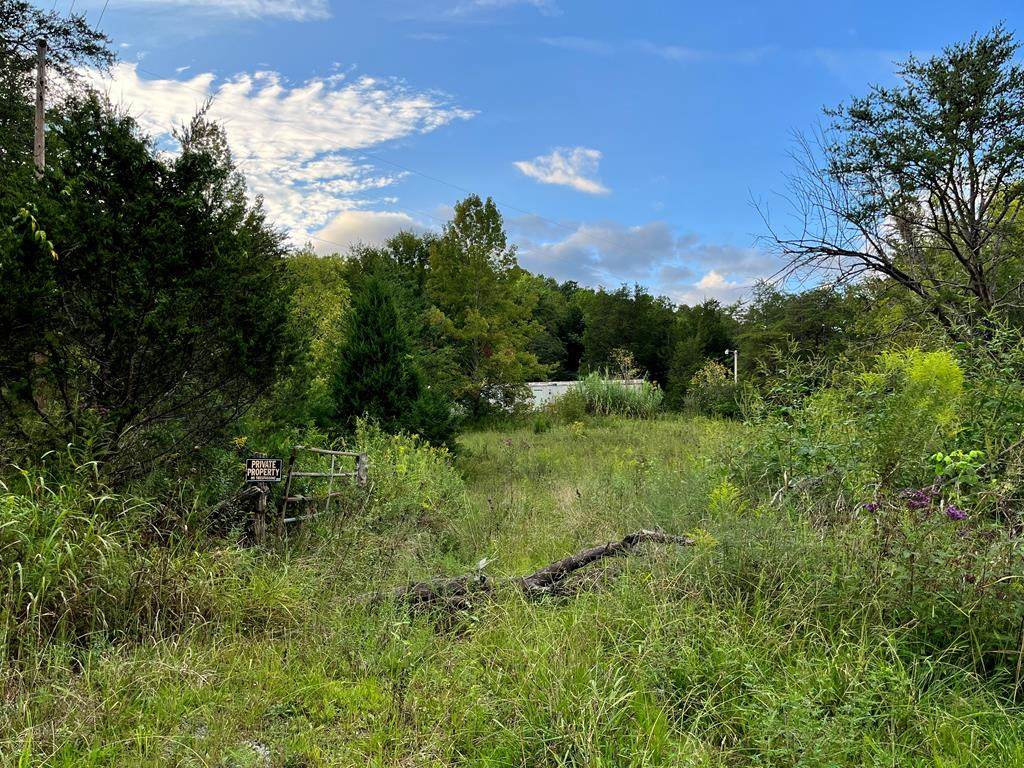 135 County Road 536 - Photo 1
