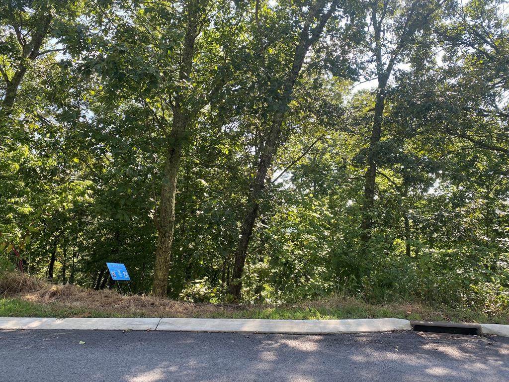 937 Eagle Nest Drive - Photo 1