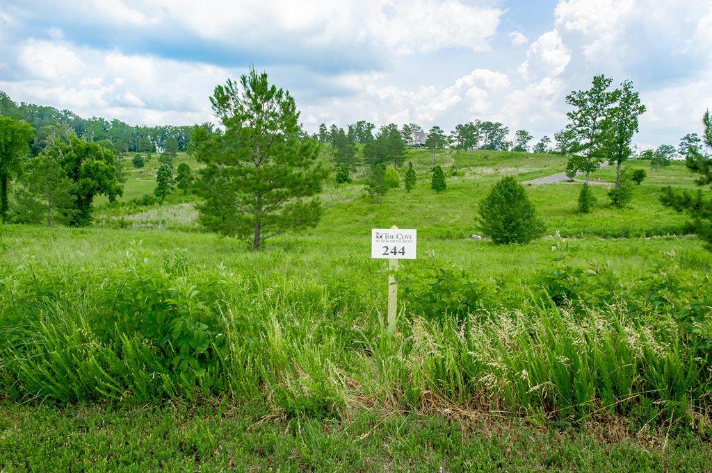 Lot 244 Lake Ferry Drive - Photo 1