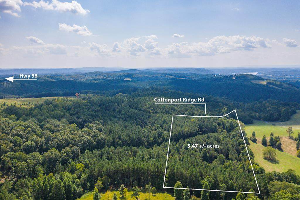 00 Cottonport Ridge Road - Photo 1