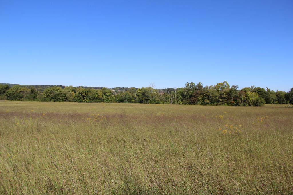 000 County Road 384 - Photo 1