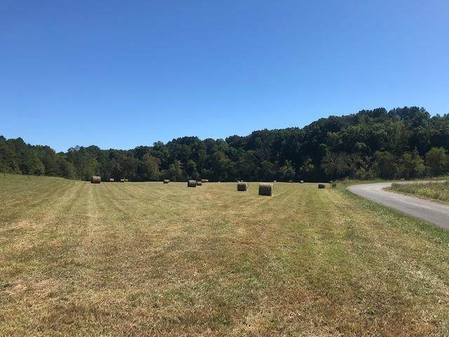 103 acres Athens Road - Photo 1