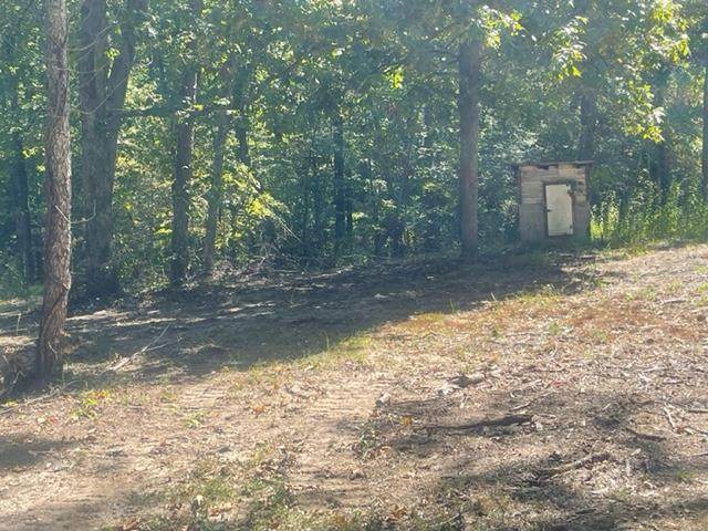 00 County Road 149 - Photo 1