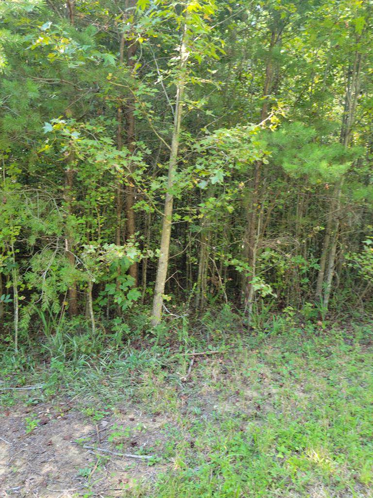 142 Gage Lane - Photo 1