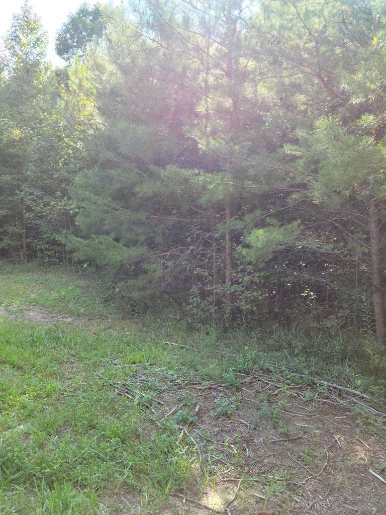 156 Gage Lane - Photo 1