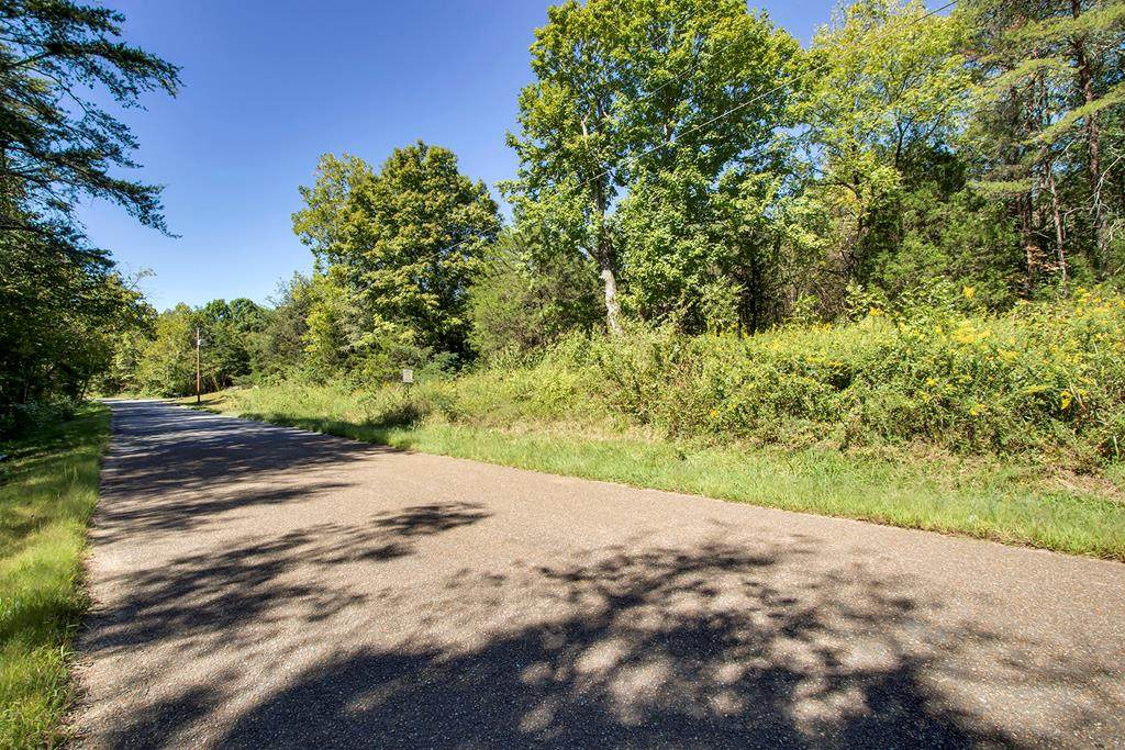 0 County Road 492 - Photo 1