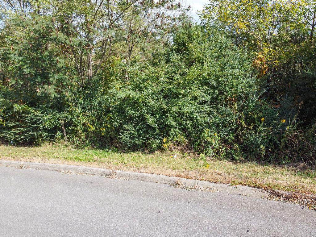 00 Ambernic Way - Photo 1