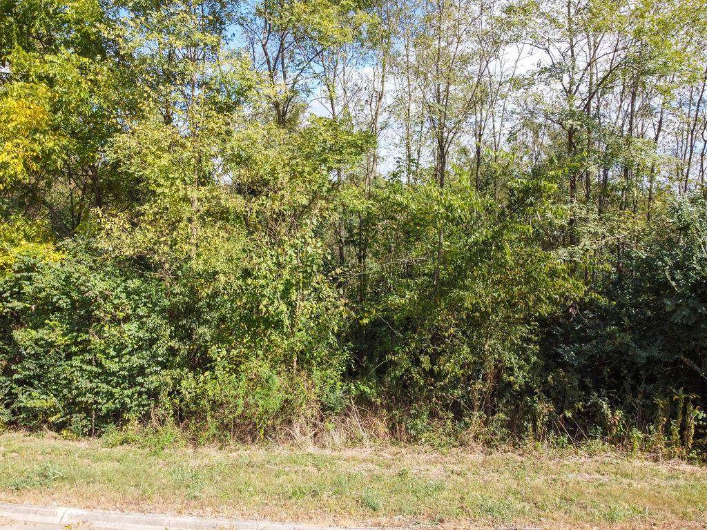 00 Ambernic Way - Photo 1