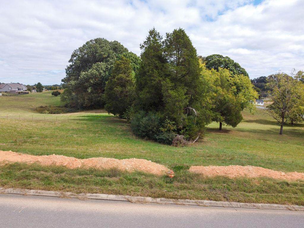 00 Duseth Drive - Photo 1