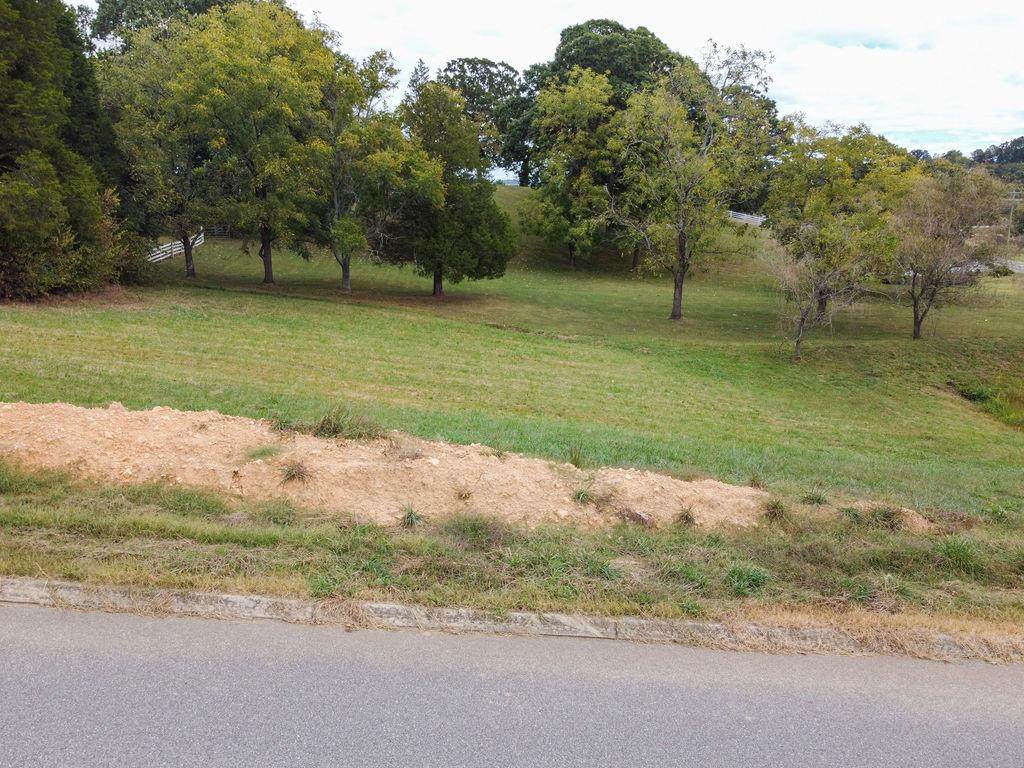 00 Duseth Drive - Photo 1