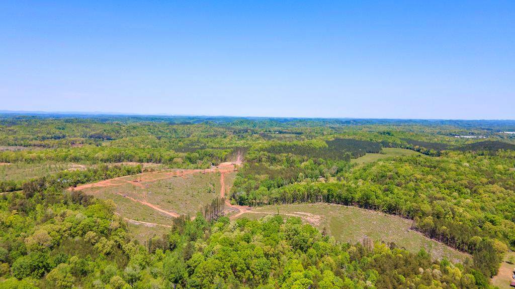 344 County Road 963 - Photo 1