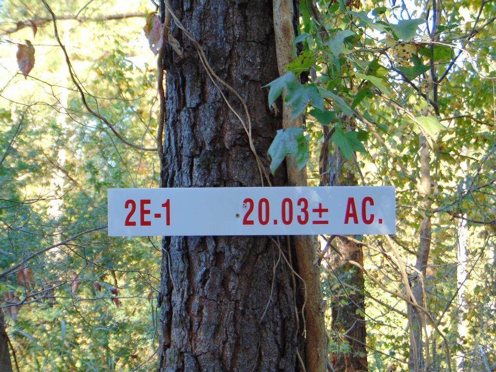 Tract 2E-1 Charles Road - Photo 1