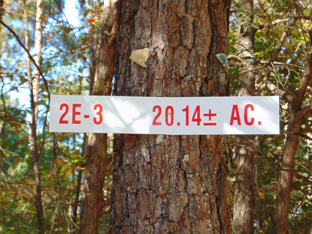 Tract 2E-3 Charles Road - Photo 1