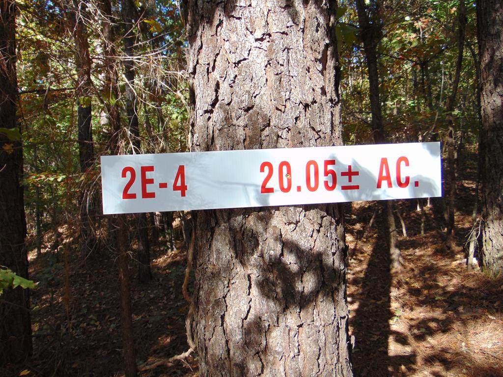 Tract 2E-4 Charles Road - Photo 1