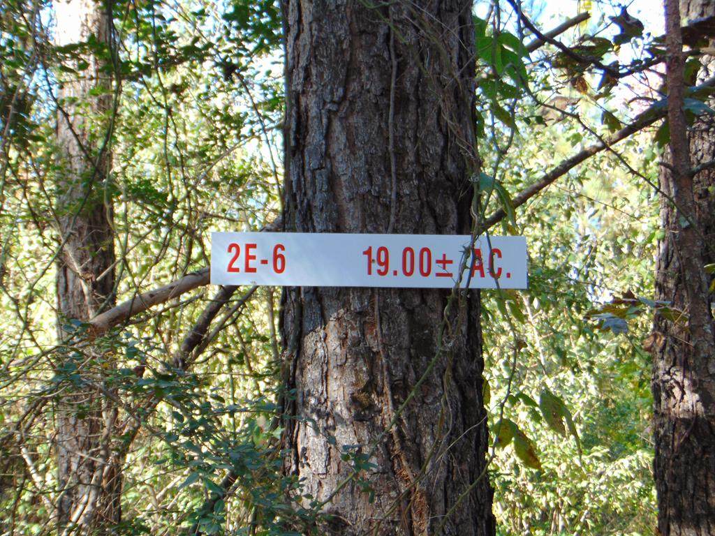 Tract 2E-6 Charles Road - Photo 1