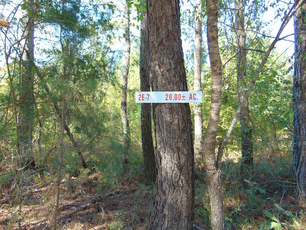Tract 2E-7 Charles Road - Photo 1