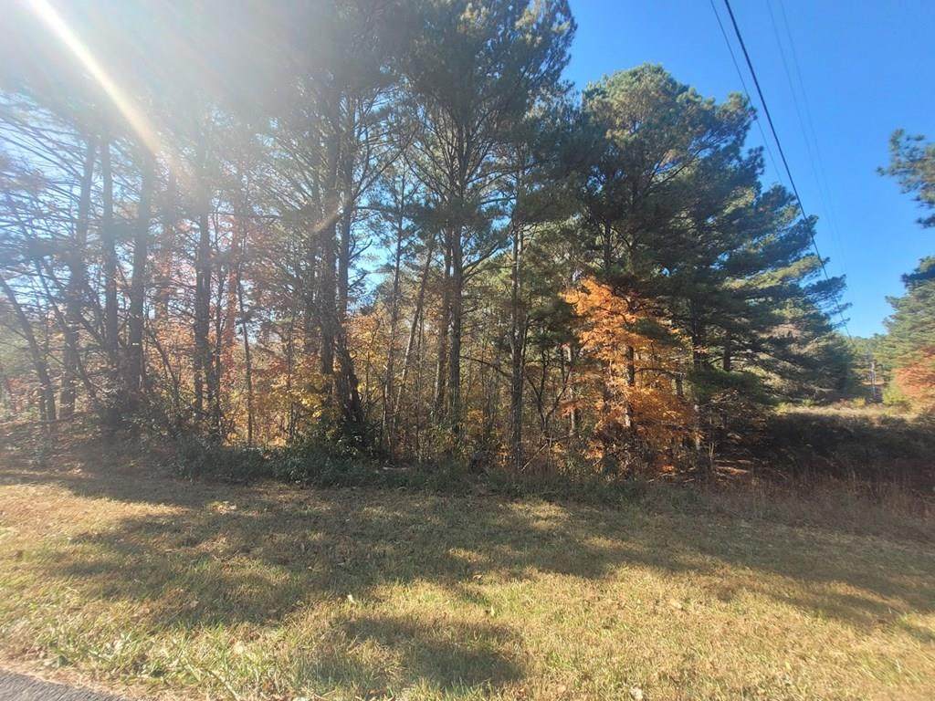 109 Winding Trail - Photo 1