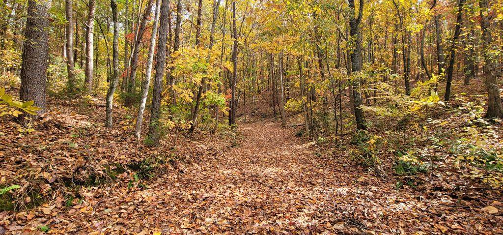 36.59 Acres River Road - Photo 1