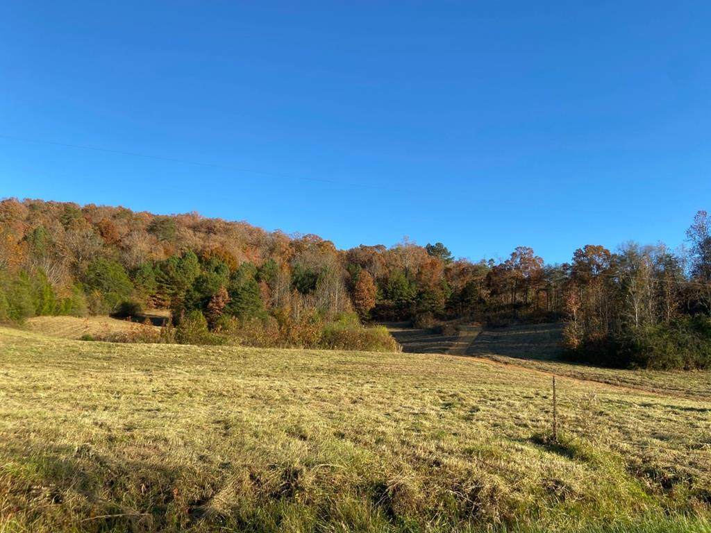 1411 Sugar Creek Road - Photo 1