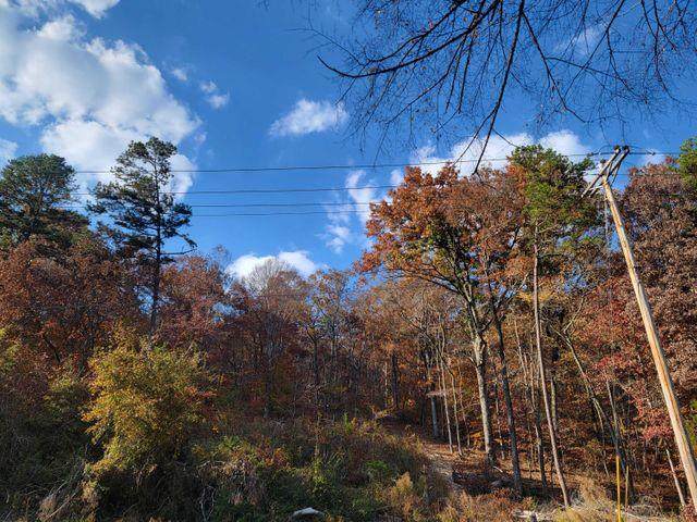 0 Swanson Road - Photo 1