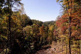 1197 Towee Pike - Photo 1