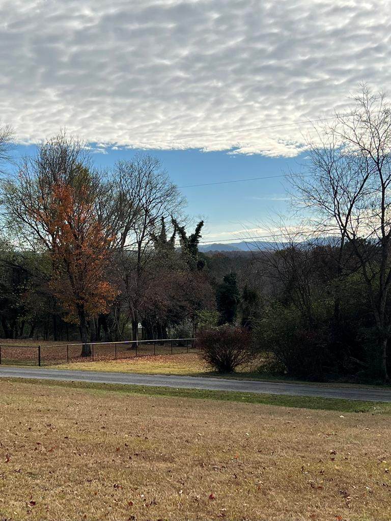 00 County Road 523 - Photo 1