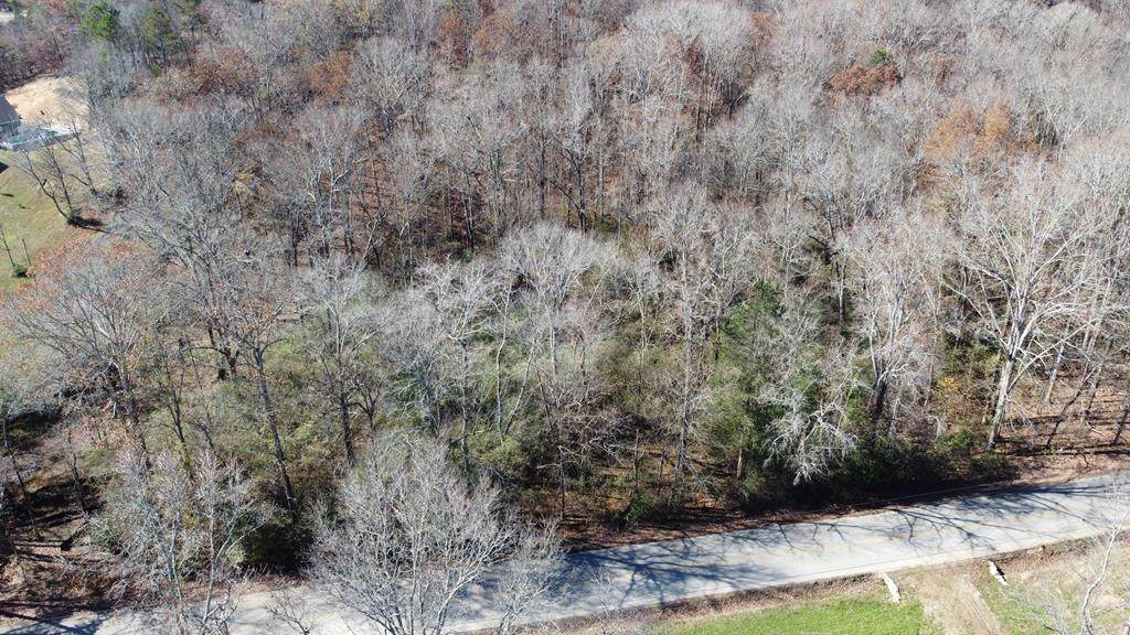 6808 Grasshopper Road - Photo 1