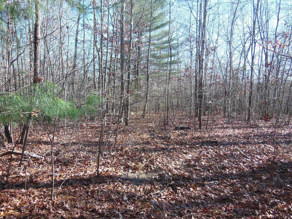 Lot 39 & 62 Little Kenny Road - Photo 1