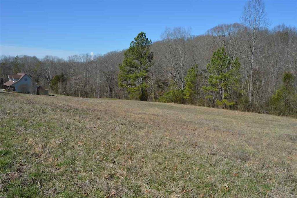00 County Road 321 - Photo 1
