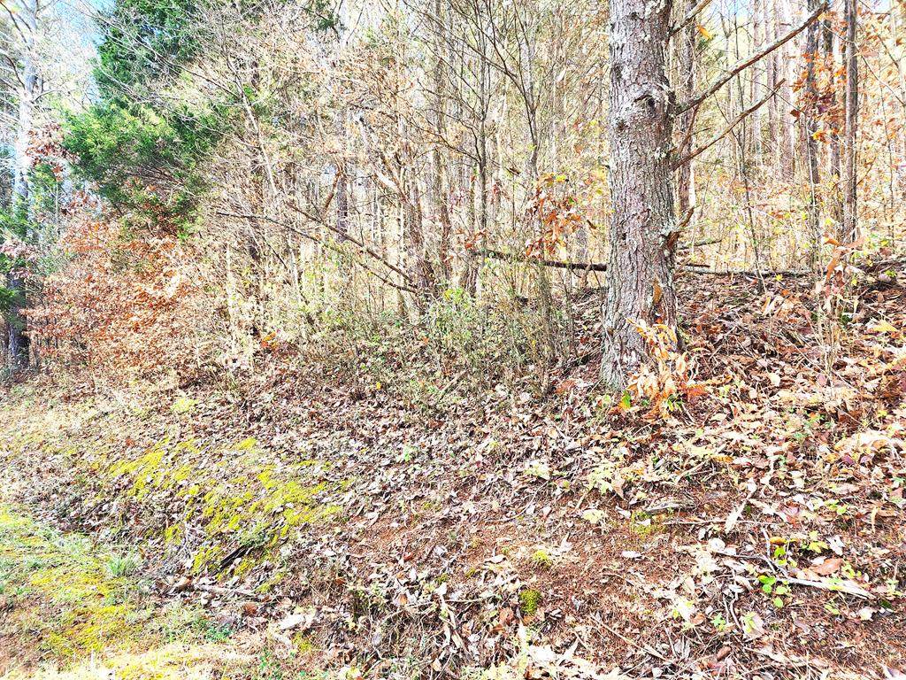 00 County Road 67 - Photo 1