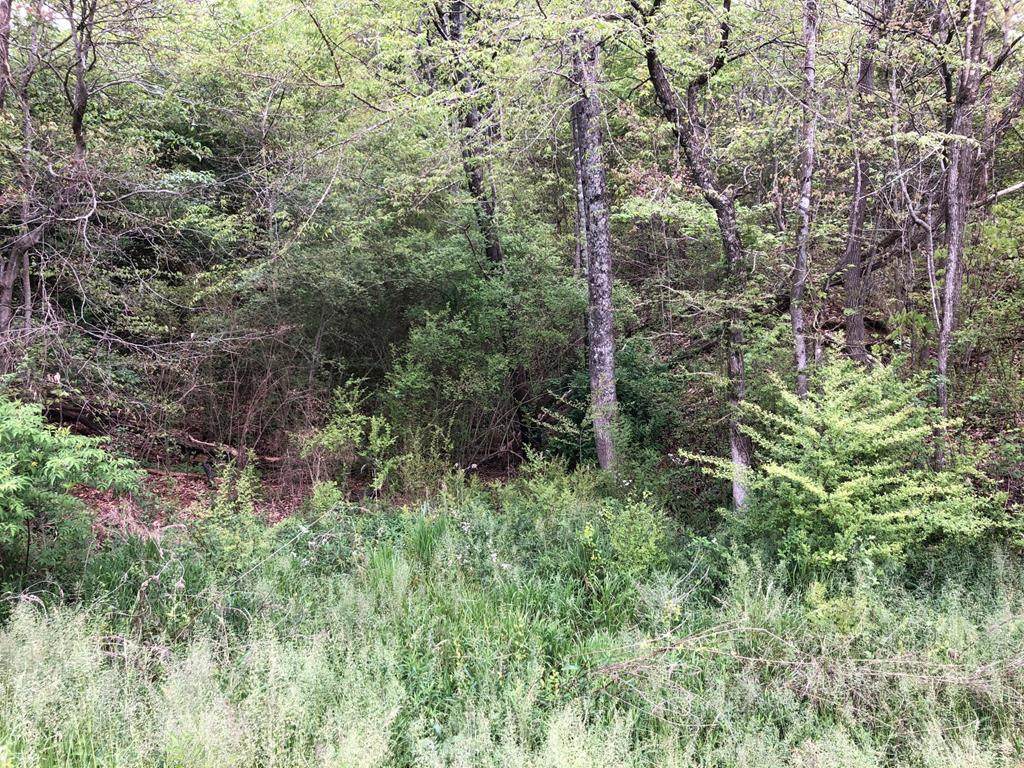 520 County Road 669 - Photo 1