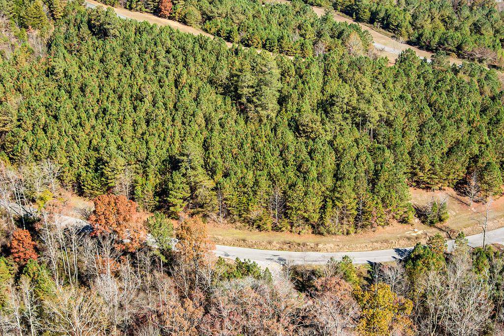 1453 &1457 Sloan Gap Rd - Photo 1