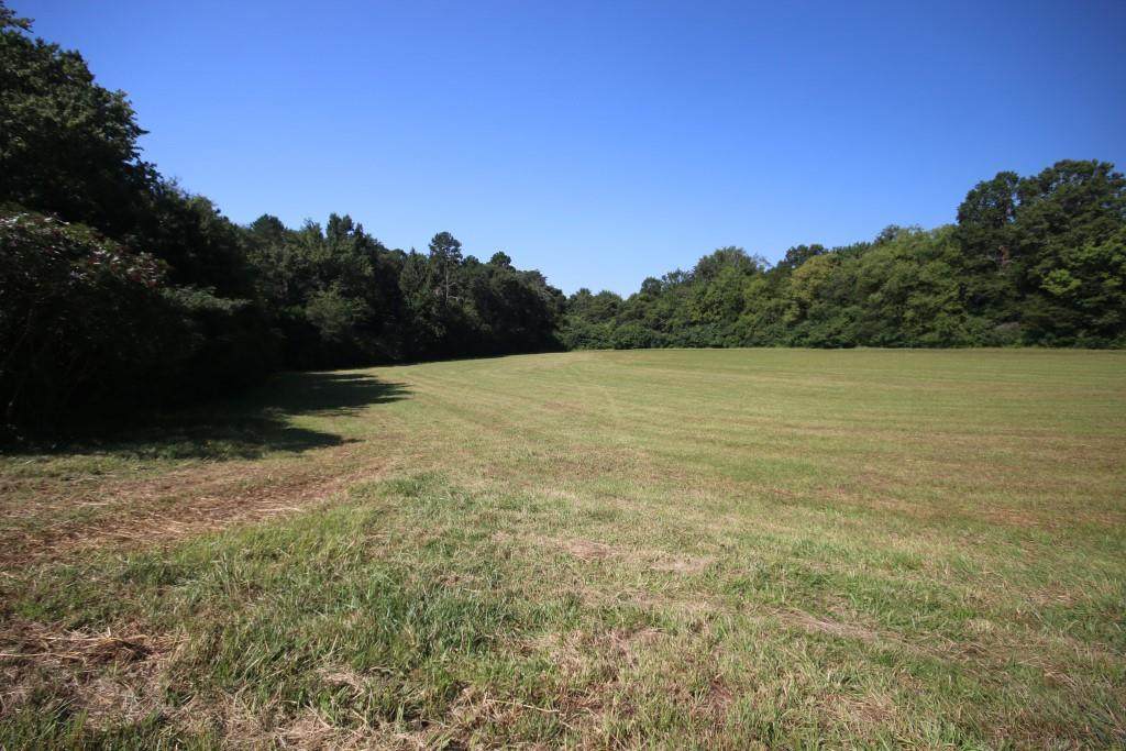Tract 4 County Road 750 - Photo 1