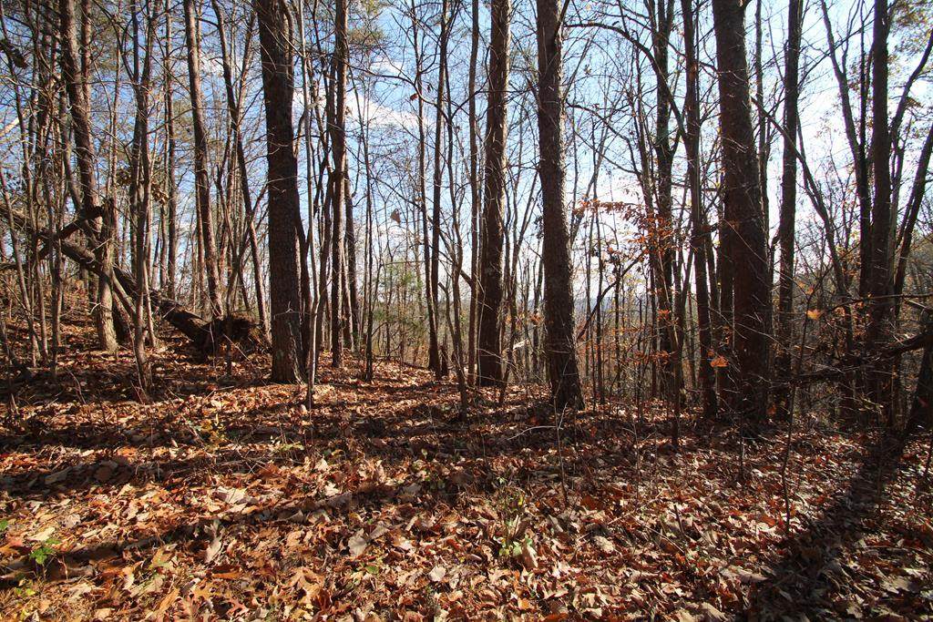 Lot 45 Clearview Drive - Photo 1