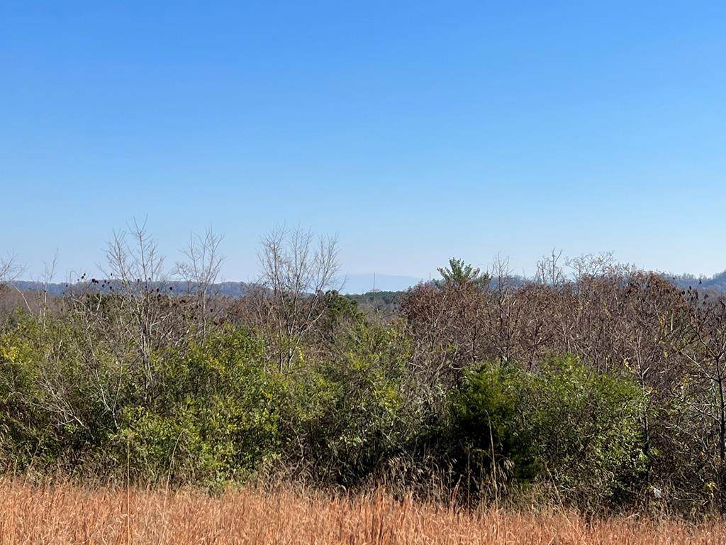 Lot 34 High Ridge Road - Photo 1