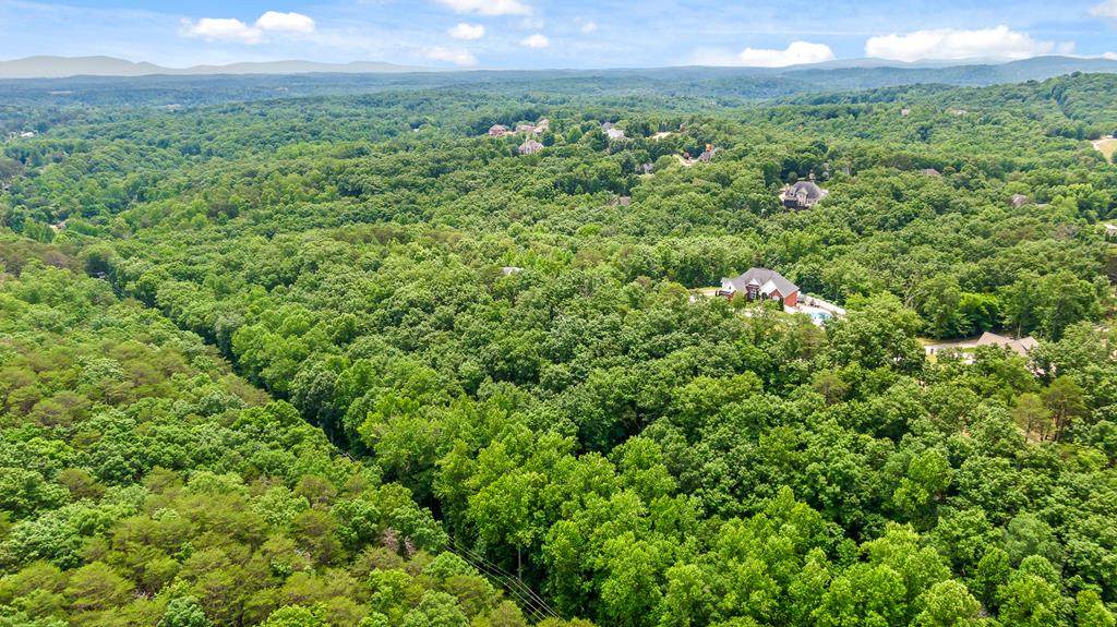10082 Standifer Gap Road - Photo 1