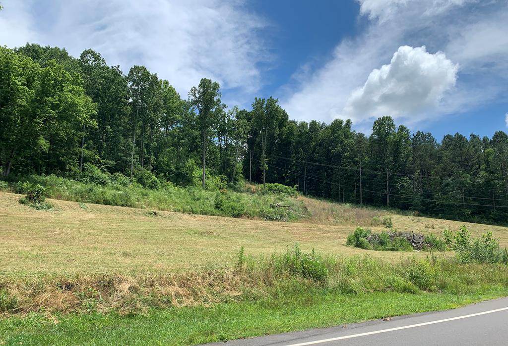 00 North Lee Highway - Photo 1