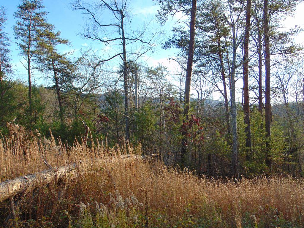 1075 County Road 480 Lot 5 - Photo 1
