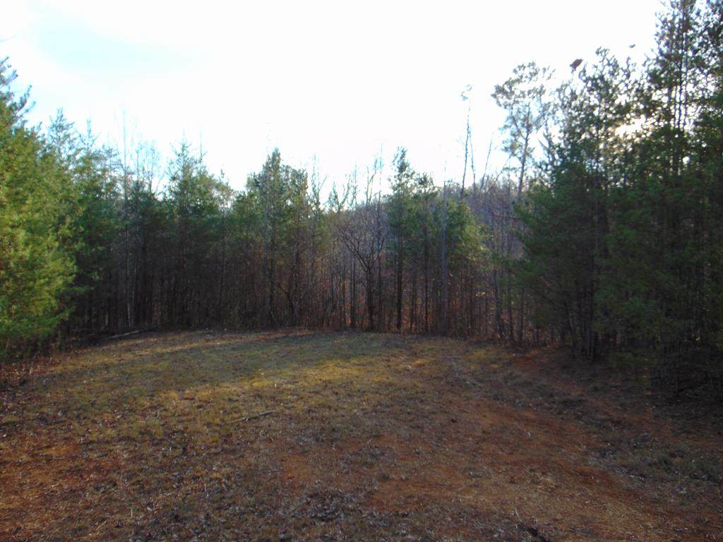1075 County Road 480 Lot 7 - Photo 1