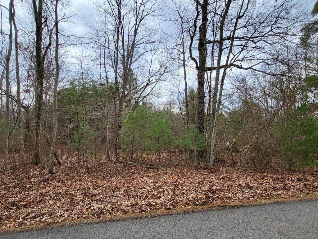 30 Acres Bennie Camp Road - Photo 1