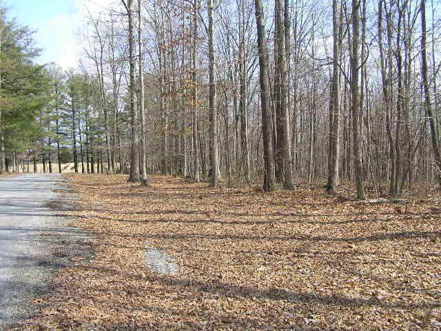0 Wolf Pen Road 2.91 Acres - Photo 1